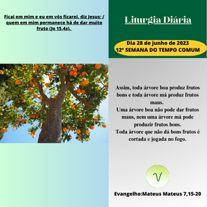 liturgia28